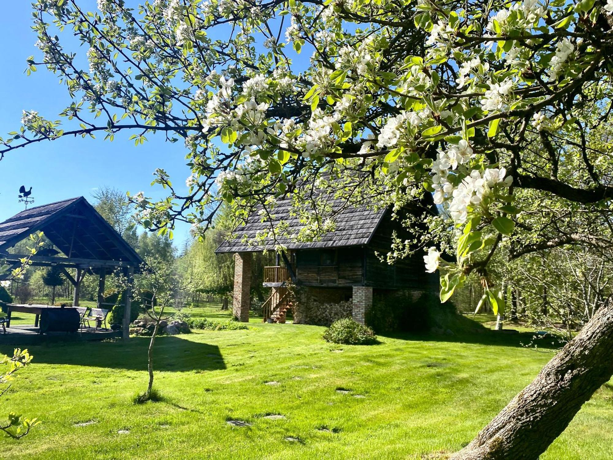 Griki Villa Kalniski Eksteriør bilde