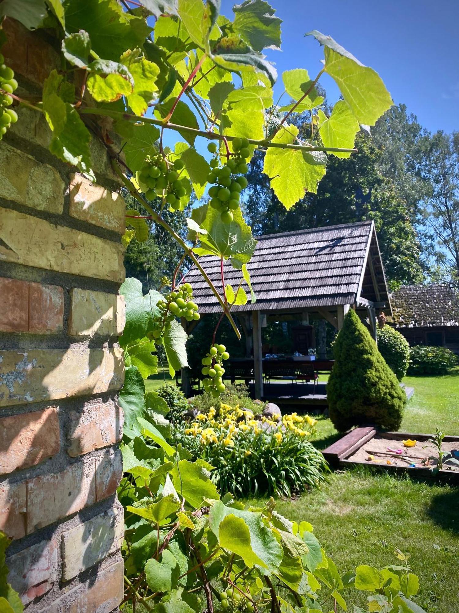 Griki Villa Kalniski Eksteriør bilde